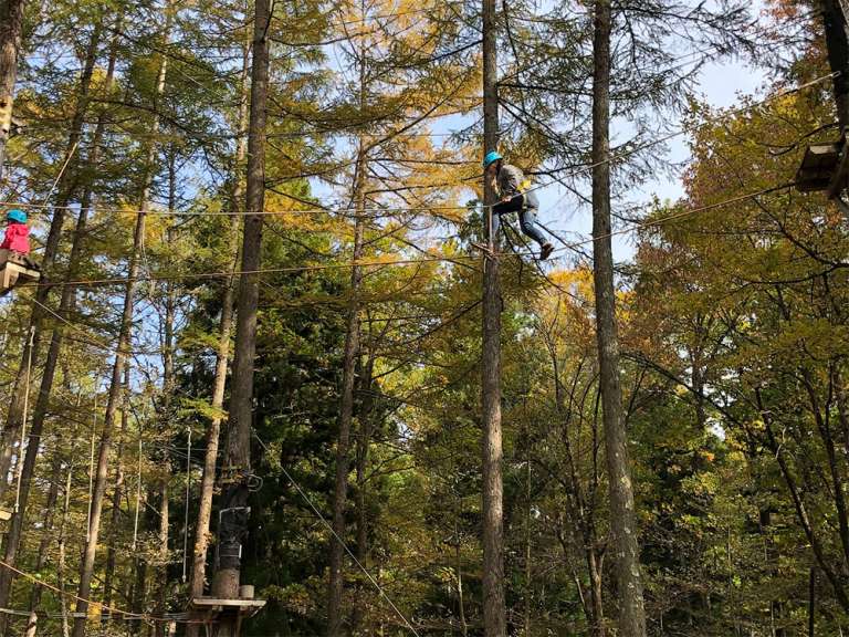 High Tree Ropes in Hakuba