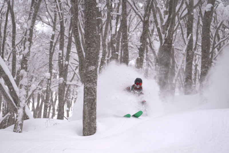 Where to Ski in Hakuba - Powder Skiers