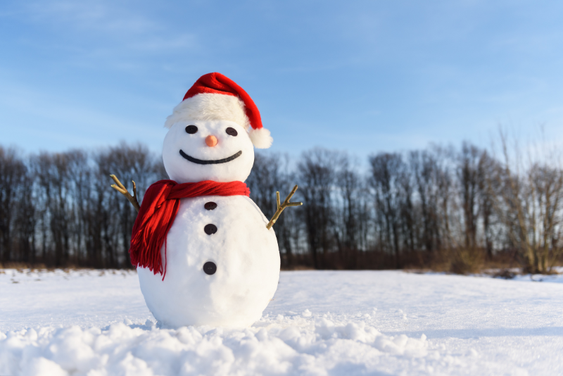 What to Do in Hakuba When Not Skiing - Snowman