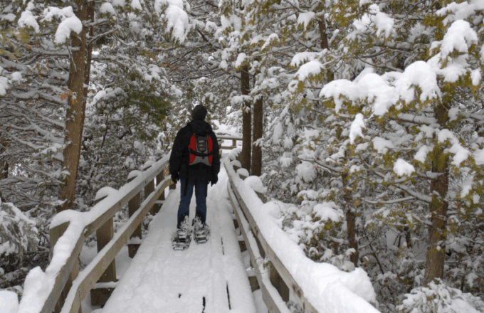 What to Do in Hakuba When Not Skiing - Snowshoe