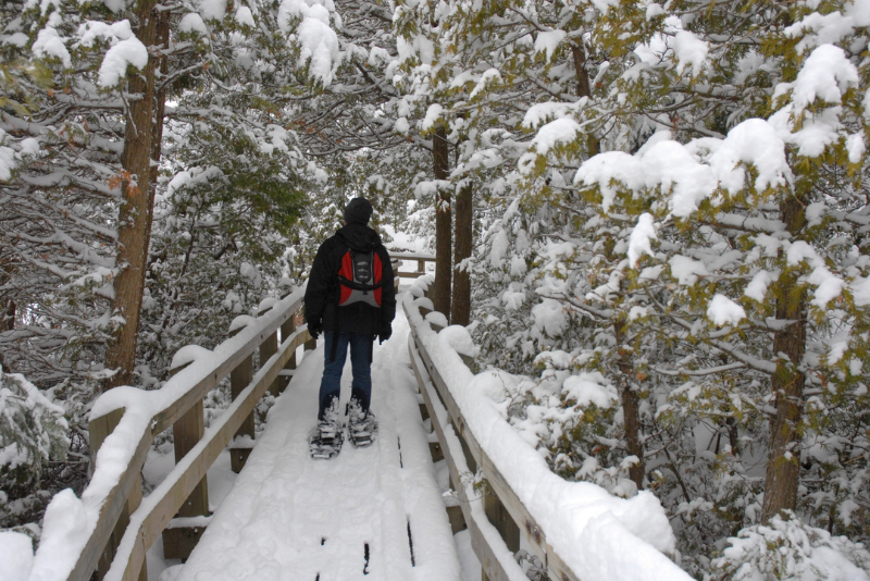 What to Do in Hakuba When Not Skiing - Snowshoe