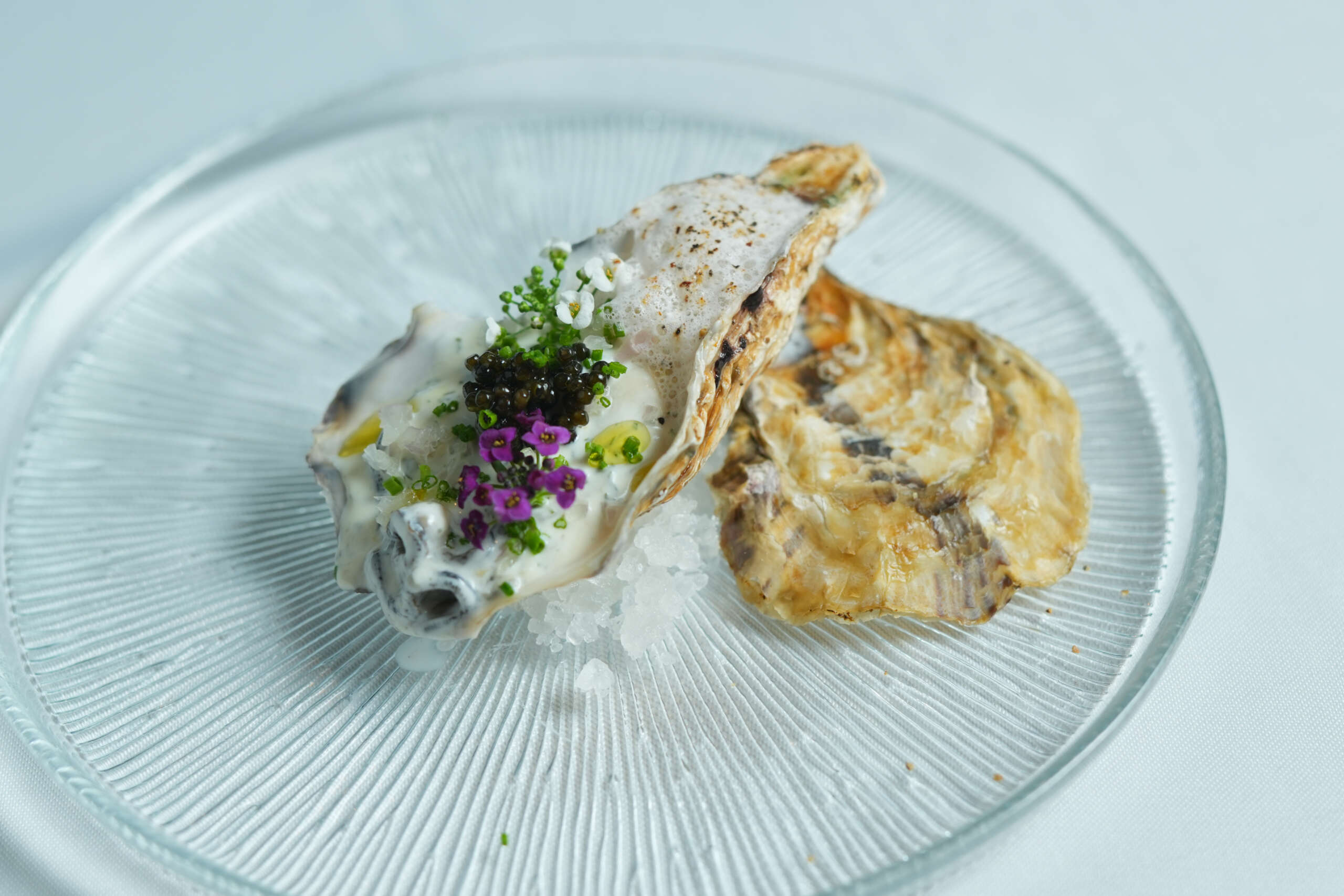 Vive Oyster Cropped - 1