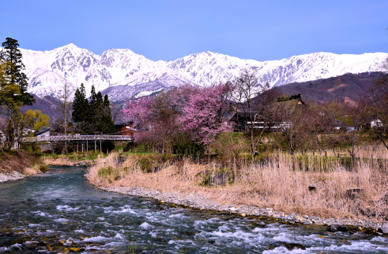 Hakuba Spring Skiing - Feature Image